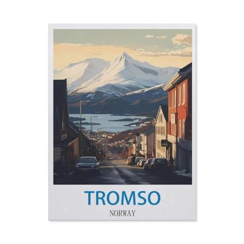 Tromsø, Norwegen，Puzzles 1000 Teile für Erwachsene, Klassische Puzzle Jungen Mädchen Puzzle für Kinder Teenager Lernspiel Spielzeug（75x50cm）-CL45 von YYHMKBYY