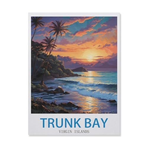 Trunk Bay, Virgin Islands，Puzzles 1000 Stück Puzzles Für Erwachsene Kinder Klassisches Familienpuzzle Indoor DIY Spielzeug Geburtstagsgeschenk（50x70cm）-EH86 von YYHMKBYY