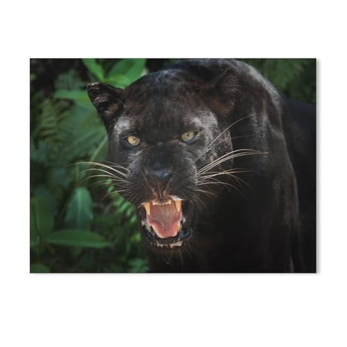 schwarzer Panther,Puzzles, 1000-teiliges Puzzle Für Erwachsene Und Kinder Ab 10 Jahren(38x26cm-281 schwarzer Panther,Puzzles, 1000-teiliges Puzzle Für Erwachsene Und Kinder Ab 10 Jahren(38x26cm-281 von YYHMKBYY