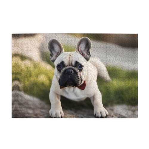 Puzzles1000 Teile Yyhwhjde Französische Bulldogge Bild Pädagogische Intellektuelle Holzpuzzles Lustige Puzzles Stressabbau Puzzles Puzzles1000 Teile Yyhwhjde Französische Bulldogge Bild Pädagogische Intellektuelle Holzpuzzles Lustige Puzzles Stressabbau Puzzles von YYHWHJDE