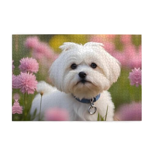 Puzzles1000 Teile Yyhwhjde Lovely Malteser Hund Bild Pädagogische Intellektuelle Holzpuzzles Lustige Puzzles Stressabbau Puzzles Puzzles1000 Teile Yyhwhjde Lovely Malteser Hund Bild Pädagogische Intellektuelle Holzpuzzles Lustige Puzzles Stressabbau Puzzles von YYHWHJDE