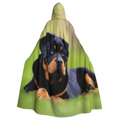 YYHWHJDE Rottweiler Kapuzenumhang für Erwachsene, Tapetendruck, Halloween, für Partys und Kostümveranstaltungen YYHWHJDE Rottweiler Kapuzenumhang für Erwachsene, Tapetendruck, Halloween, für Partys und Kostümveranstaltungen von YYHWHJDE