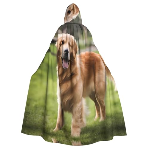 YYHWHJDE Süßer Golden Retriever bedruckter Kapuzenumhang für Erwachsene, geeignet für Halloween, Cosplay-Kostüme, Weihnachten von YYHWHJDE
