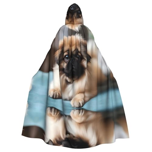 YYHWHJDE Süßes Pekinese-Muster, Halloween, Erwachsenen-Kapuzenumhang für Party, Kostüm, Cosplay, Bühne, Maskerade, Thema, Tanz, Comic Con YYHWHJDE Süßes Pekinese-Muster, Halloween, Erwachsenen-Kapuzenumhang für Party, Kostüm, Cosplay, Bühne, Maskerade, Thema, Tanz, Comic Con von YYHWHJDE