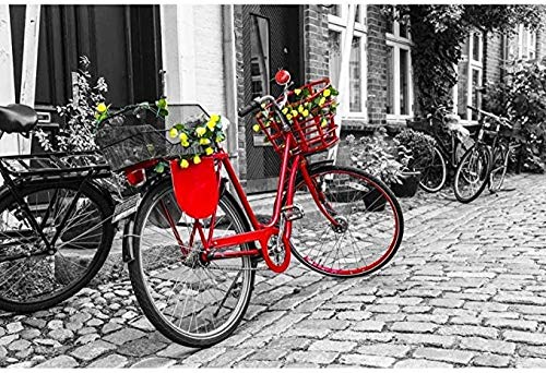 YYLPLLE Pädagogisches Puzzle 1000 Stück, Rotes Fahrrad Mit Blumen Auf Der Straße In Schwarz-Weißem Holzpuzzle, Herausforderndes Puzzle Für Erwachsene 50 X 75 cm von YYLPLLE