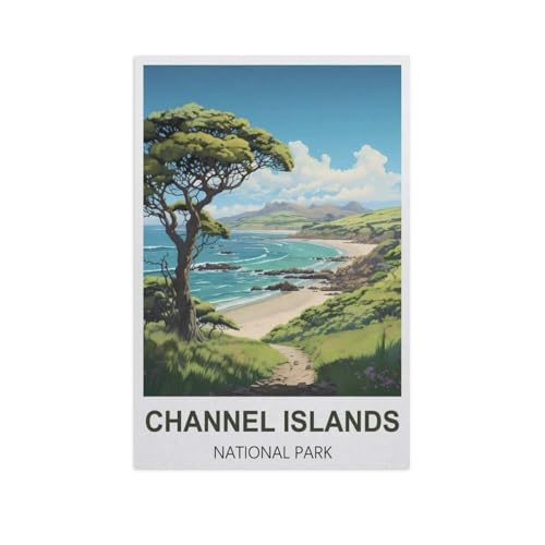 1000 Stück Puzzle，Channel Islands Nationalpark，Erwachsene Kinder Papiers pielzeug Lernspiel（50x70cm）-H45 von YYNFHCBS