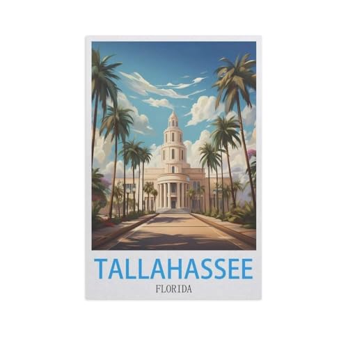 1000 Teile Puzzle Für Erwachsene Und Kinder，Tallahassee, Florida，Stressabbau Herausforderung Bodenpuzzle DIY Home Wanddekoration（38x26cm）-H73 von YYNFHCBS
