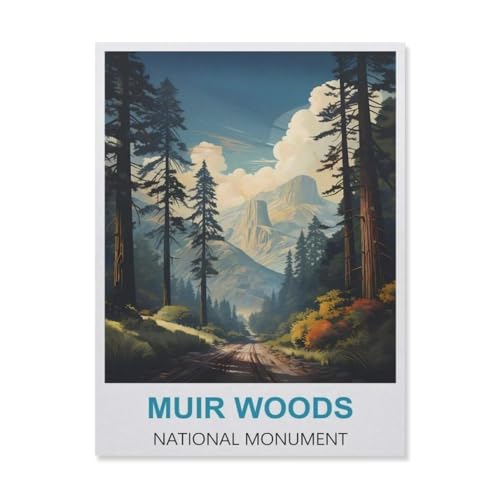 Erwachsene und Kinder Puzzle 1000 Teile Puzzle，Muir Woods National Monument，einfaches Puzzlespiel Rollenpuzzle Lernspiel Spielzeug Familie Dekoration（38x26cm）-C94 von YYNFHCBS