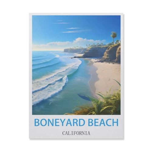 Jigsaw Puzzles 1000 Stück，Boneyard Beach Kalifornien，Für Papierkinder Spiele Lernspielzeug（38x26cm）-E46 von YYNFHCBS