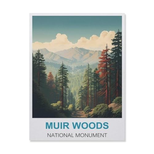 Muir Woods National Monument，1000 Stück Erwachsene Holz Landschaft Puzzles Für Kinder Lernspielzeug Geschenke（75x50cm）-C90 von YYNFHCBS