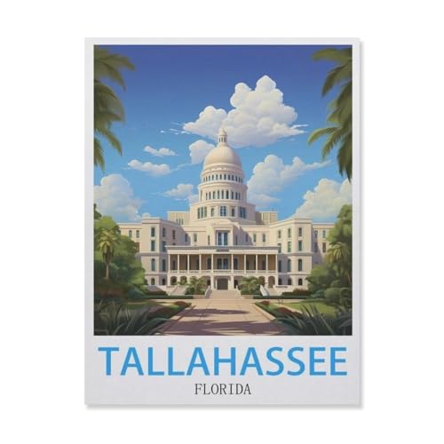 Papier Puzzle 1000 Stück，Tallahassee Florida，Puzzles Lernspielzeug Für Erwachsene Geburtstagsgeschenk（38x26cm）-E51 von YYNFHCBS