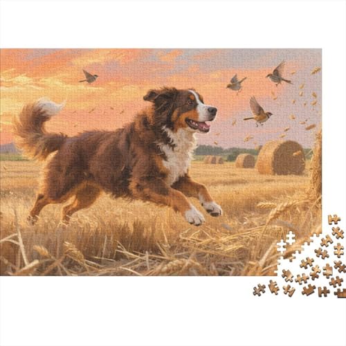 Berner Sennenhund Hund 1000-teilige Puzzles Für Erwachsene,Autumn Weizenfeld EIN Unmögliches Geschicklichkeitsspiel Intelligenz-Puzzle Home-Dekoration 1000pcs (75x50cm) von YYVKPMLXC