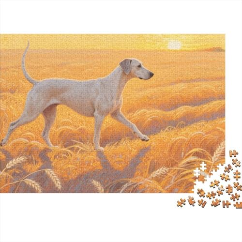 Doberman Hund 1000-teiliges Puzzle Für Erwachsene,Goldenes Weizenfeld bei Sonnenuntergang Anspruchsvolles Intelligenz-Puzzle Spielzeug, Familien-Puzzlespiel Home-Dekoration 1000pcs (75x50cm) von YYVKPMLXC