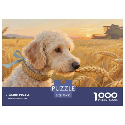Goldendoodle Hund 1000-teilige Puzzles Für Erwachsene,Sonnenuntergang Farm EIN Unmögliches Geschicklichkeitsspiel Familien-Puzzlespiel Home-Dekoration 70x50cm/1000pcs Goldendoodle Hund 1000-teilige Puzzles Für Erwachsene,Sonnenuntergang Farm EIN Unmögliches Geschicklichkeitsspiel Familien-Puzzlespiel Home-Dekoration 70x50cm/1000pcs von YYVKPMLXC