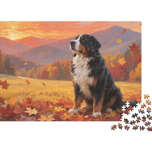 Puzzle Berner Sennenhund Hund Mit 1000 Teilen Für Erwachsene,Herbstlandschaft EIN Unmögliches Geschicklichkeitsspiel Familien-Puzzlespiel Home-Dekoration 1000pcs (75x50cm) von YYVKPMLXC