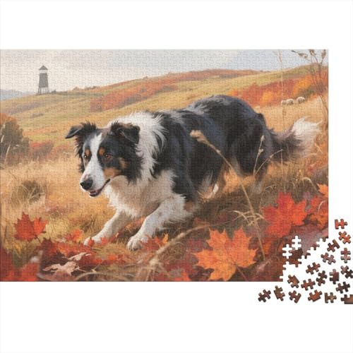 Puzzle Border Collie Hund 1000 Stücken Für Erwachsene,Herbstfeld EIN Unmögliches Geschicklichkeitsspiel Lernspiel Spielzeug Geschenk Home-Dekoration 1000pcs (75x50cm) von YYVKPMLXC