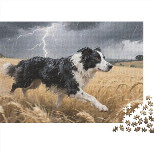 Puzzle Border Collie Hund Mit 1000 Teilen Für Erwachsene,Weizenfeld EIN Unmögliches Geschicklichkeitsspiel Lernspiel Spielzeug Geschenk Home-Dekoration 1000pcs (75x50cm) von YYVKPMLXC