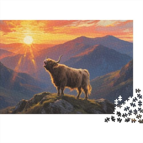 Puzzle Hochlandrinder Aus 1000 Stücken Für Erwachsene,Sonnenuntergang Berg Herausforderungsspielzeug Denksport-Puzzle Home-Dekoration 1000pcs (75x50cm) von YYVKPMLXC