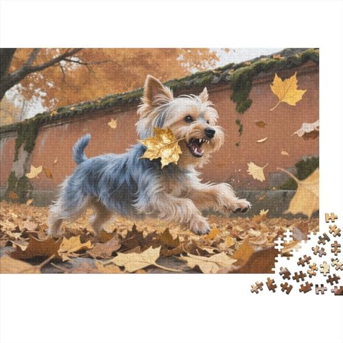 Puzzle Yorkshireterrier Aus 1000 Stücken Für Erwachsene,Blätterfall Innenhof EIN Unmögliches Geschicklichkeitsspiel, Lernspiel Spielzeug Geschenk Home-Dekoration 1000pcs (75x50cm) von YYVKPMLXC