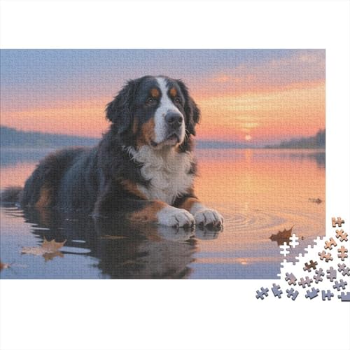 Puzzles Berner Sennenhund Hund Aus 1000 Teilen Für Erwachsene,Sonnenuntergang Seeufer Szene EIN Unmögliches Geschicklichkeitsspiel Familien-Puzzlespiel Home-Dekoration 1000pcs (75x50cm) von YYVKPMLXC
