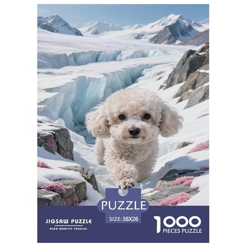 Teacup-Pudel 1000-teiliges Puzzle Für Erwachsene,Außen Landschaft Haustier Herausforderungsspielzeug Intelligenz-Puzzle Lernspiel Spielzeug Home-Dekoration 38x26cm/1000pcs Teacup-Pudel 1000-teiliges Puzzle Für Erwachsene,Außen Landschaft Haustier Herausforderungsspielzeug Intelligenz-Puzzle Lernspiel Spielzeug Home-Dekoration 38x26cm/1000pcs von YYVKPMLXC