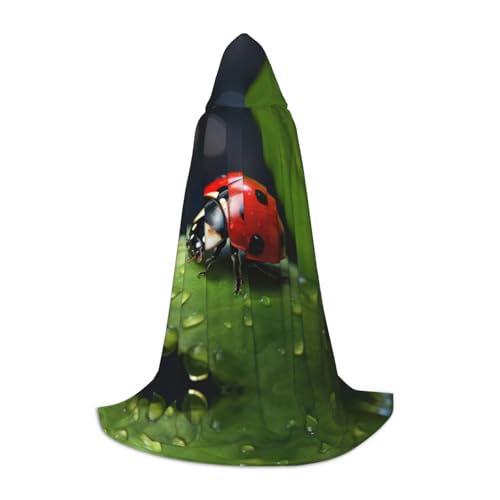 YaWea Wunderschöner Renaissance-Umhang mit Ladybug-Aufdruck für Damen und Herren, Erwachsenen-Umhang, mittelalterlicher Umhang, Wikingerumhang, Zauberer-Umhang mit Kapuze von YaWea