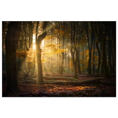 Fun Jigsaw Puzzle 500 Teile für Erwachsene Holzpuzzle Herbst Sonne Wald für Familie Lernspiele Puzzles 52,1 x 38,1 cm Fun Jigsaw Puzzle 500 Teile für Erwachsene Holzpuzzle Herbst Sonne Wald für Familie Lernspiele Puzzles 52,1 x 38,1 cm von Yaesttie