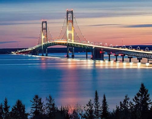 Fun Jigsaw Puzzle 500 Teile für Erwachsene Michigan Landschaften für Erwachsene Mackinac Bridge Nachtlichter St Ignace Holz Jigsaw Puzzler Puzzle Geschenk Familienspiele Kinder DIY Puzzles Spielzeug von Yaesttie