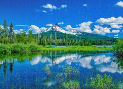 Fun Jigsaw Puzzle 500 Teile für Erwachsene Mount Willamette National Forest Oregon Puzzles Clearance Schwierige Coole harte Puzzles 52.1 cmx 38.1 cm Fun Jigsaw Puzzle 500 Teile für Erwachsene Mount Willamette National Forest Oregon Puzzles Clearance Schwierige Coole harte Puzzles 52.1 cmx 38.1 cm von Yaesttie