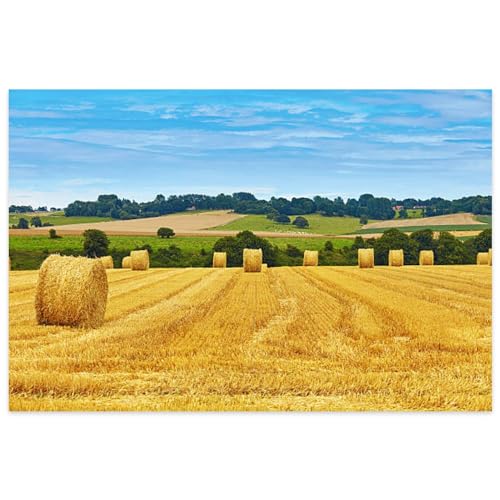 Lustiges Puzzle 500 Teile Goldene Heuballen Landschaft für Familie Lernspiele Puzzles 52,1 x 38,1 cm Lustiges Puzzle 500 Teile Goldene Heuballen Landschaft für Familie Lernspiele Puzzles 52,1 x 38,1 cm von Yaesttie