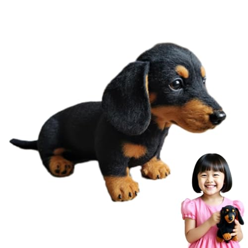 Yamaler Plüsch-Dackel – Realistisches Pandy Plüschtier, Weiches und Langlebiges Hundespielzeug für Dekoration und Interaktiven Spaß (A) von Yamaler