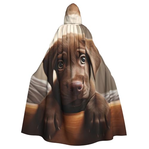 Yanglong Uni süßer Labrador-Hundemantel mit Kapuze für Halloween, Tod, Vampir, Cosplay-Kostüme von Yanglong