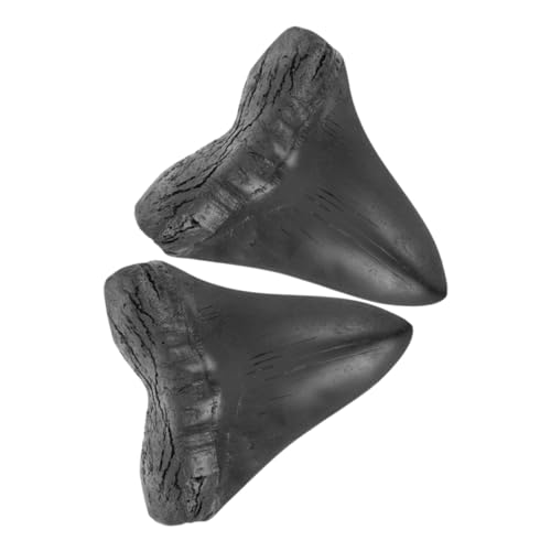 Yardenfun Detaillierte Nachbildung eines Megalodon riesiger Hai für eine einzigartige Sammlung Yardenfun Detaillierte Nachbildung eines Megalodon riesiger Hai für eine einzigartige Sammlung von Yardenfun
