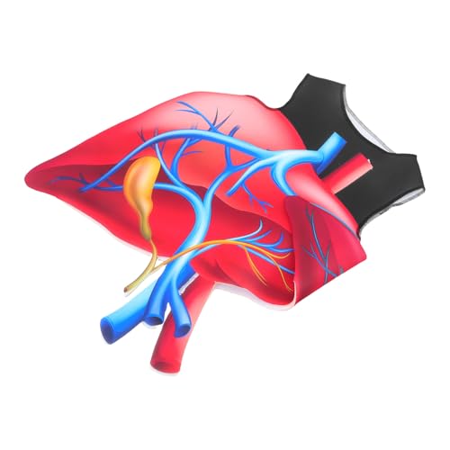 Yardenfun Herz Kostüm Halloween Lustiges Organ Kostüm Weiches Schwamm Material Pädagogisches Körper Cosplay Bühnenoutfit Für Schulaufführungen Und Fasching Yardenfun Herz Kostüm Halloween Lustiges Organ Kostüm Weiches Schwamm Material Pädagogisches Körper Cosplay Bühnenoutfit Für Schulaufführungen Und Fasching von Yardenfun