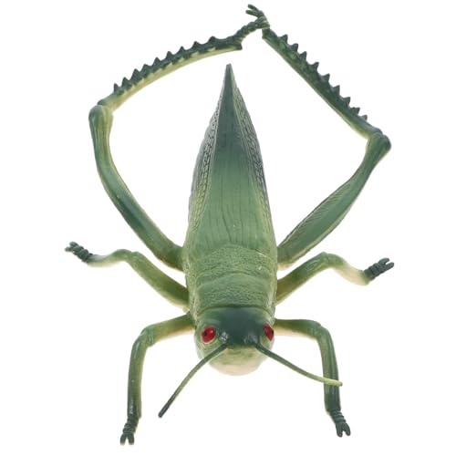 Yardenfun Miniatur Insekten Handgefertigte Kunststoff Figuren für Pädagogisches Lernspielzeug und Partydekoration Vielseitig Einsetzbar als Heimdekoration von Yardenfun