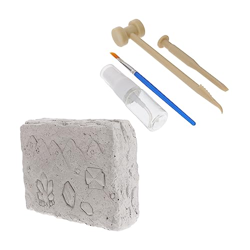 Yardwe 1 Satz Archäologisches kinderspielzeug für handgemachtes hühner mineralische Steinproben für Steinkollektion Gips Weiß Yardwe 1 Satz Archäologisches kinderspielzeug für handgemachtes hühner mineralische Steinproben für Steinkollektion Gips Weiß von Yardwe