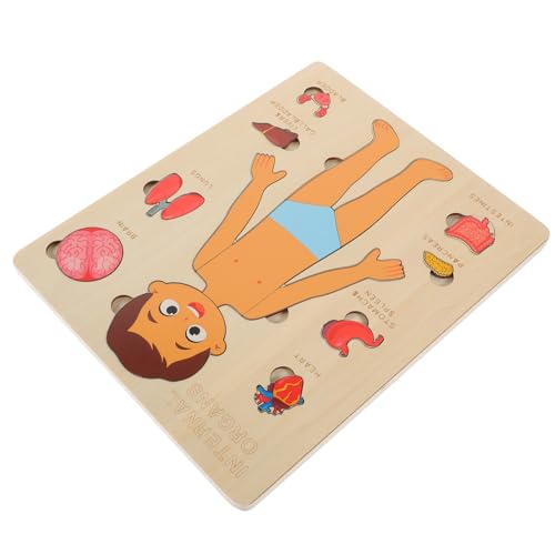 Yardwe 1 Satz Menschliche Körperstruktur Puzzlespielzeug spielzeuge puzzlekleber Puzzle sortierschalen Puzzlematte Frühes Lernen anatomie und physiologie studienwerkzeuge Holz von Yardwe