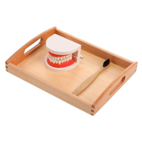 Yardwe 1 Satz Zahnpflege und Waschspielzeug aus Holz Lernspielzeug für Fördert die Mundhygiene und Stärkt die Eltern Junge Mädchen Bindung für Jungen und Holztablett Yardwe 1 Satz Zahnpflege und Waschspielzeug aus Holz Lernspielzeug für Fördert die Mundhygiene und Stärkt die Eltern Junge Mädchen Bindung für Jungen und Holztablett von Yardwe