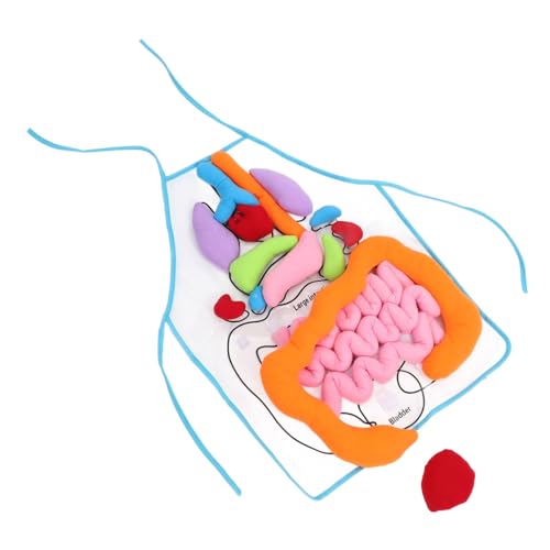 Yardwe 1 Set Für Kognitive Menschliche Innere Organe Kognitives Anatomie des Menschlichen Körpers Schürze Kinderschürzen Lernspielzeug Für 3D Schürze Werkzeuge Für Anatomie von Yardwe