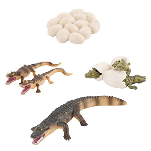 Yardwe 1 Set Wachstumszyklus Tier Lernspielzeug Insekten Dinosaurier Alligator Kinderspielzeug Wespe Miniatur Tierspielzeug Frösche Eidechsen Tier Tabletop Bugs PVC Yardwe 1 Set Wachstumszyklus Tier Lernspielzeug Insekten Dinosaurier Alligator Kinderspielzeug Wespe Miniatur Tierspielzeug Frösche Eidechsen Tier Tabletop Bugs PVC von Yardwe
