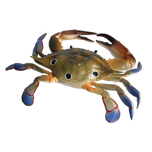 Yardwe 1 Stück DREI-Punkte-krabben-Ornamente Marine Ornament Meerestierschmuck Marine Animal Model Krabbenschmuck von Yardwe