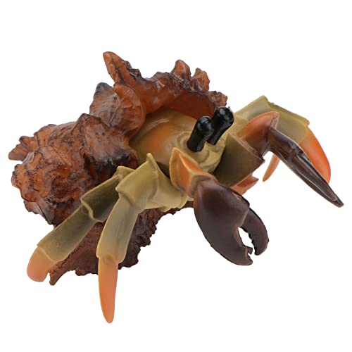 Yardwe 1 Stück Einsiedlerkrebs-Modell Einsiedlerkrebs Simulationstierspielzeug Kindertierspielzeug Statisches Festes Tiermodell Entzückendes Tiermodell PVC Brown von Yardwe
