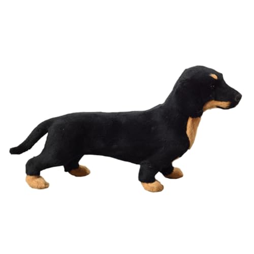 Yardwe 1 Stück Realistisches Dachshund Modell Simulationsspielzeug für Pädagogisches Hundespielzeug Tierfigur zur Dekoration für Sammler von Yardwe