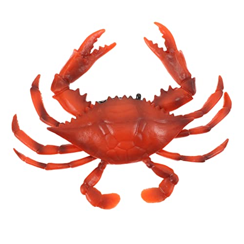 Yardwe 1 Stück Simuliertes Krabbenmodell Meereslebewesen-Modell Ozeantiersimulation Ocean Animal Toy Meereslebewesen Figur Tierfiguren basteln Meereslebewesen Handwerk PVC rot von Yardwe