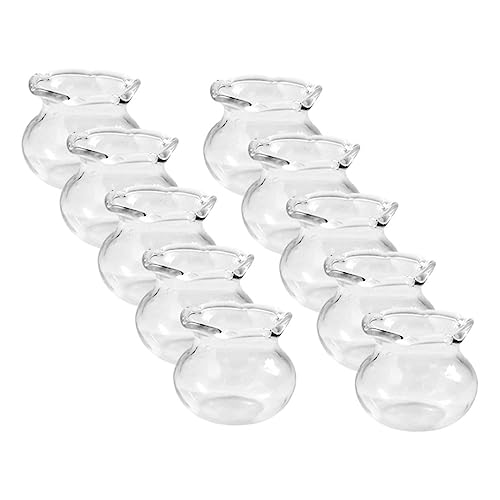 Yardwe 10 Stück Miniatur-Szenendekor bastelset basteln für DIY Miniaturhaus Zubehör bastelsets für Kleiner Fischtank Mini-Hausdekoration Glas Transparent von Yardwe