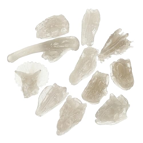 Yardwe 1Satz Dinosaurier Schädel Modell Leuchtende Dinosaurier Figuren Für Realistisches Kreativität Und Erkennungsfähigkeit Yardwe 1Satz Dinosaurier Schädel Modell Leuchtende Dinosaurier Figuren Für Realistisches Kreativität Und Erkennungsfähigkeit von Yardwe