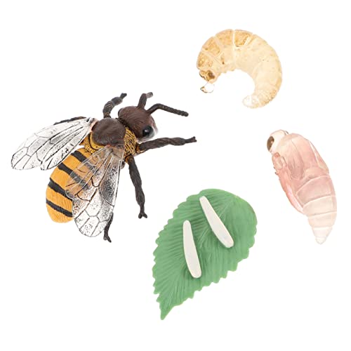 Yardwe 1Satz Honigbiene Lebenszyklus Modellset Teiliges Kinderspielzeug für Kognitive Entwicklung und Schulunterricht Realistische Insektenmodelle Fantasie und Lernen Yardwe 1Satz Honigbiene Lebenszyklus Modellset Teiliges Kinderspielzeug für Kognitive Entwicklung und Schulunterricht Realistische Insektenmodelle Fantasie und Lernen von Yardwe