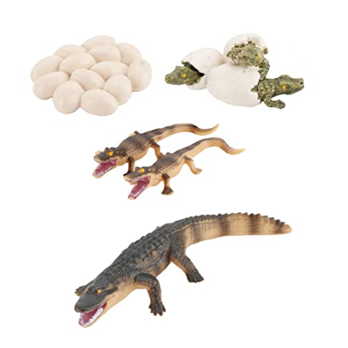 Yardwe 1Satz Krokodil Modellspielzeug Pädagogisches Krokodil Lernspielzeug für Tiermodell Kreativität und Vorstellungskraft Langlebiges Plastik von Yardwe