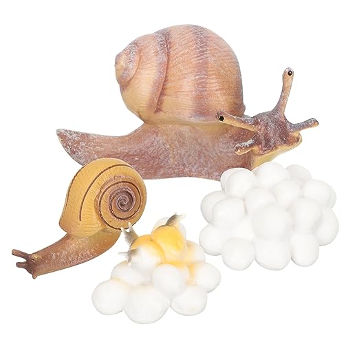 Yardwe 1Satz Pädagogisches Tierlebenszyklus Modellset Teiliges Für des Frühen Lernens Tierwachstumszyklus Figuren Für Kindergarten Und Klassenzimmer Yardwe 1Satz Pädagogisches Tierlebenszyklus Modellset Teiliges Für des Frühen Lernens Tierwachstumszyklus Figuren Für Kindergarten Und Klassenzimmer von Yardwe
