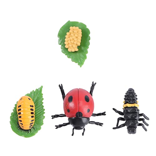 Yardwe 1Satz Tierwachstumsornamente Simulation Von Insektenlebenszyklen Teiliges Modellset Für Kreatives Lernspielzeug Zur Veranschaulichung Von Naturphasen von Yardwe